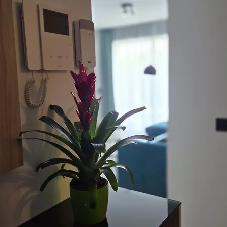 Appartement Casa Galene - Terrace & Heated Pool Costa Adeje (Tenerife)